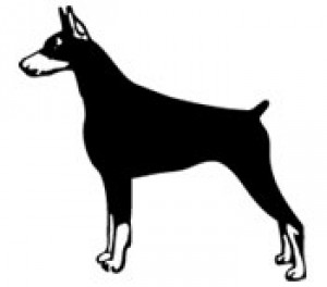 kreslený-doberman.jpg